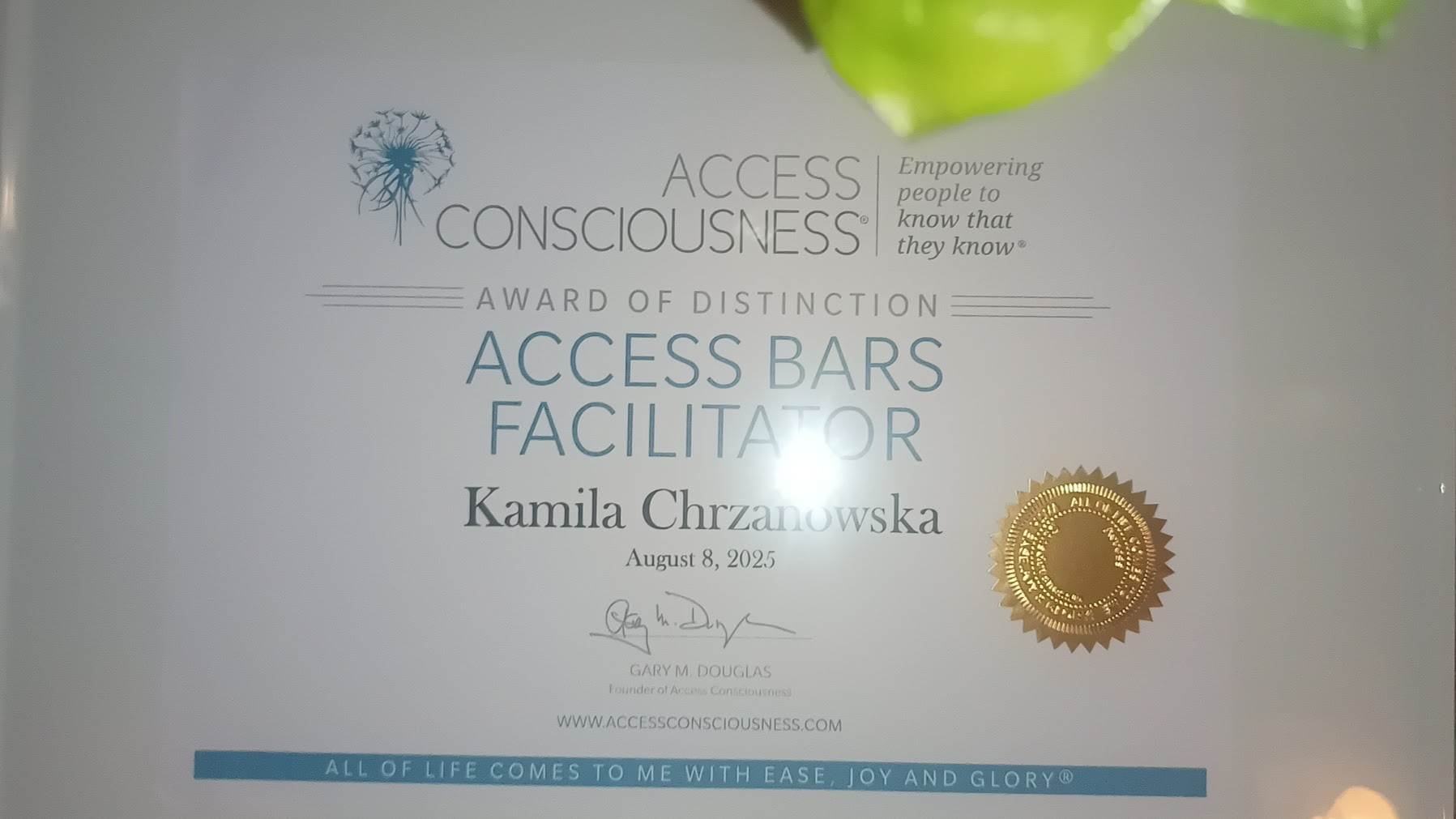 facylitator access bars.jpg