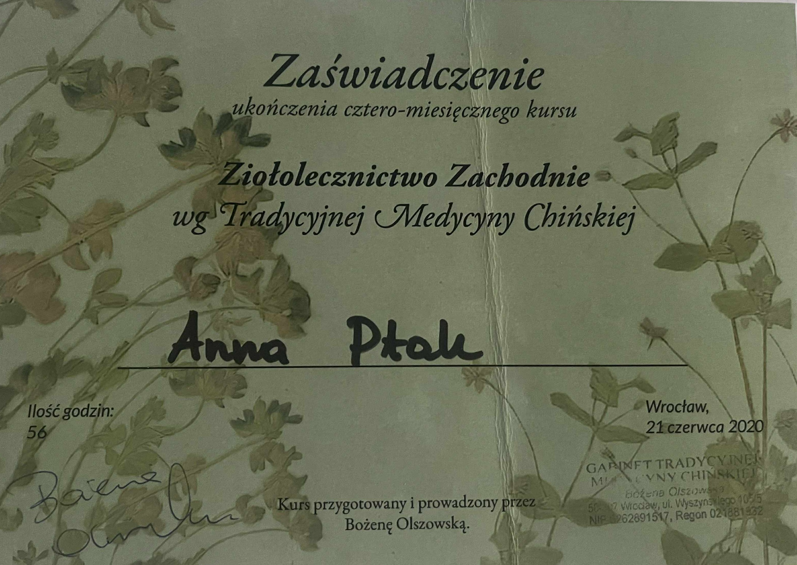 Ziołolecznictwo zachodnie według TCM.jpeg