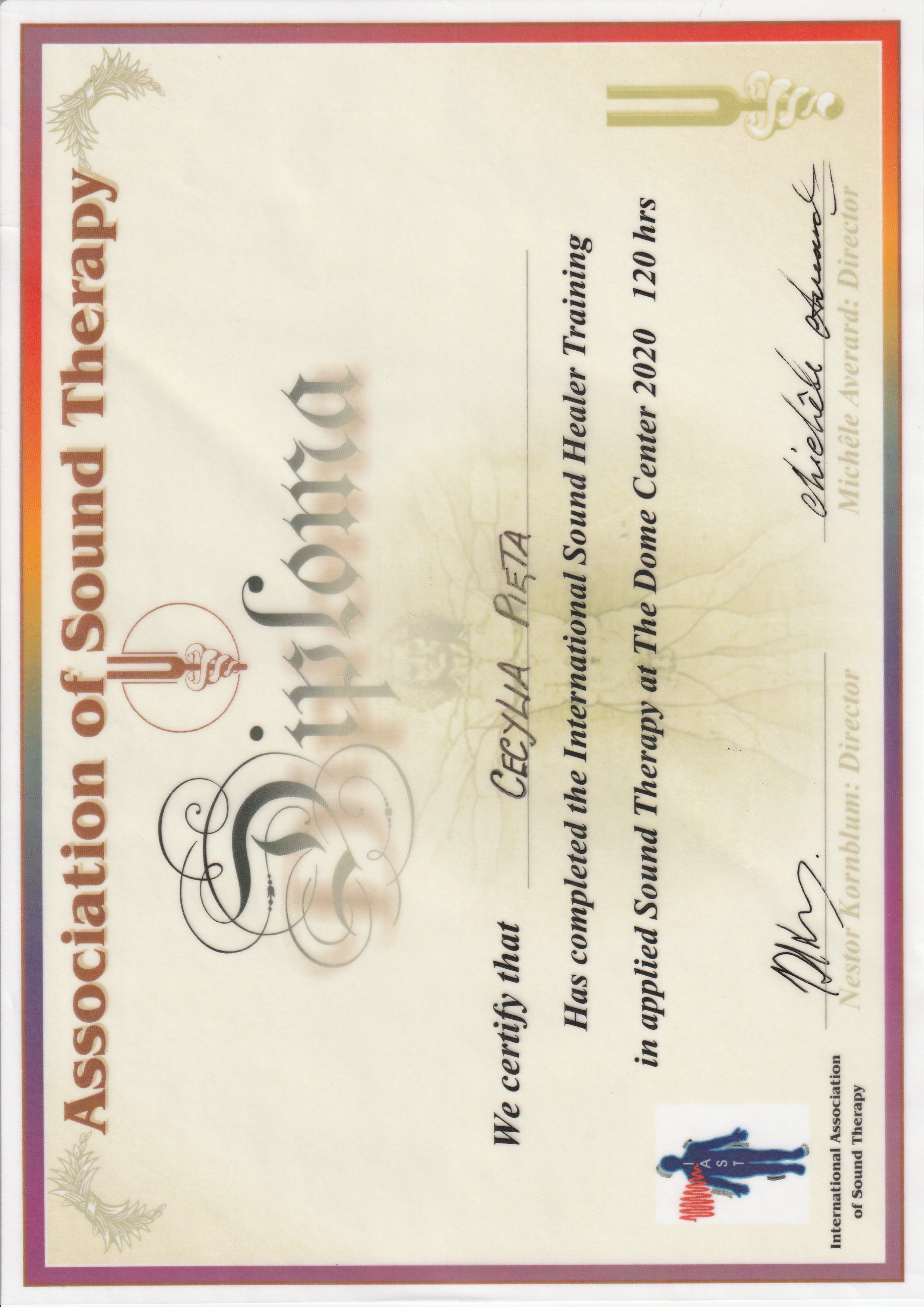 Sound Healer Training - Sound Therepy.jpg